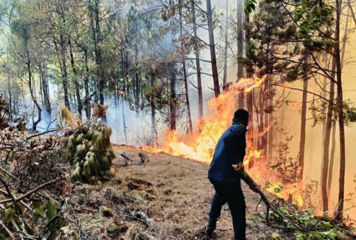 ओखलढुंगा : खरबारीमा आगो लगाउने दुई जना पक्राउ