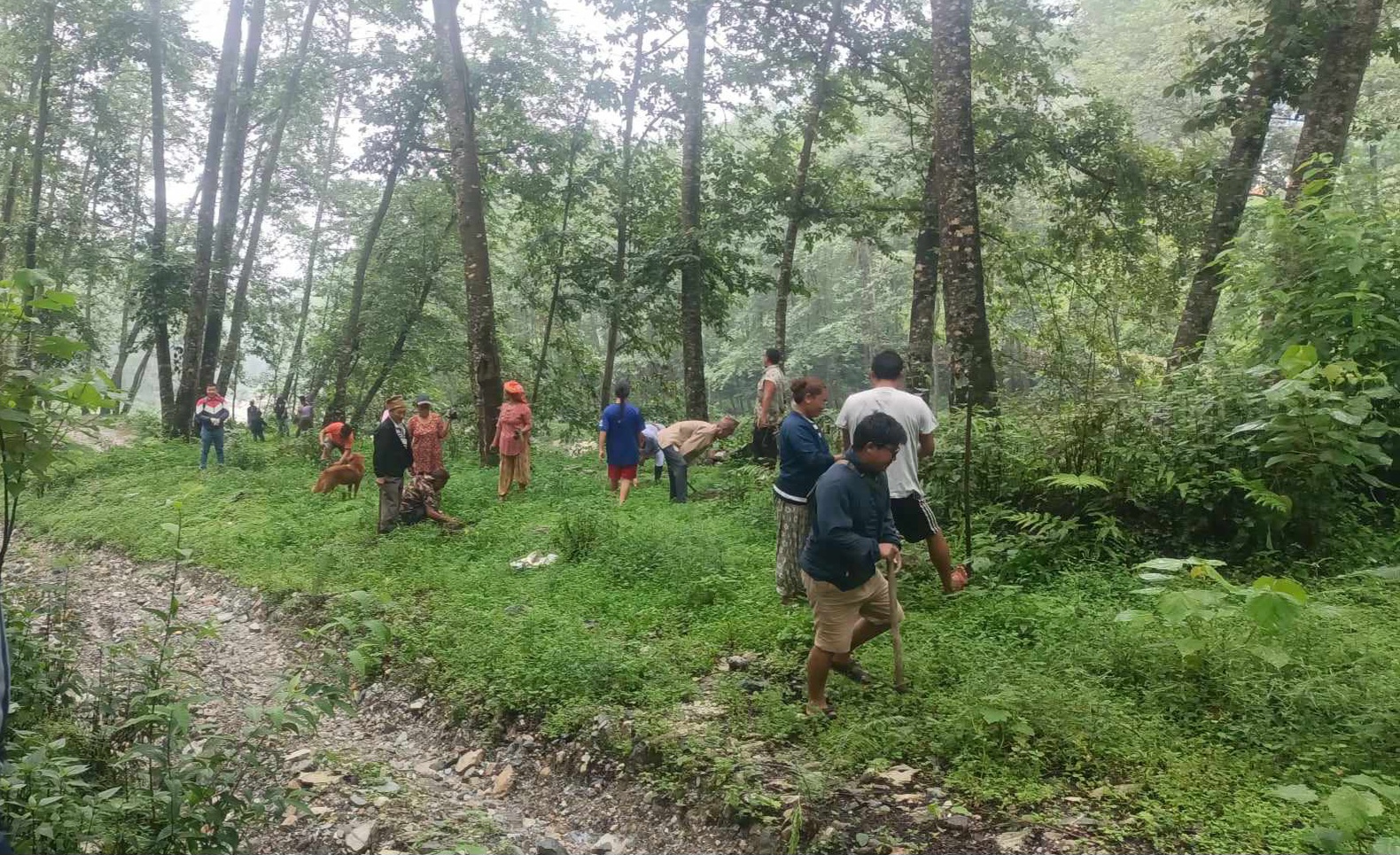 ‘एक युवा एक विरुवा अभियान’ ओखलढुंगामा पनि सुरु